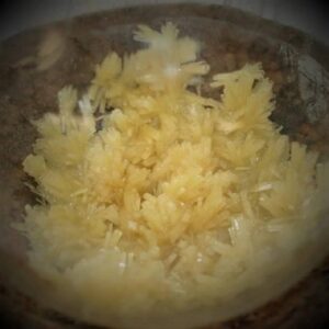 DMT (dimetiltriptamina)